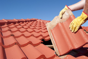 La pente de toit influe sur le prix d'une couverture d'un abri en kit :  explications !